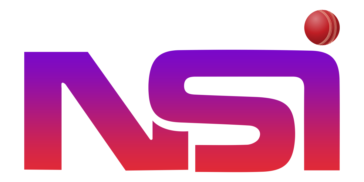 NSI_Logo