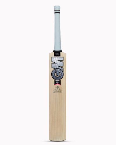 icon-606-english-willow-cricket-bat-2_